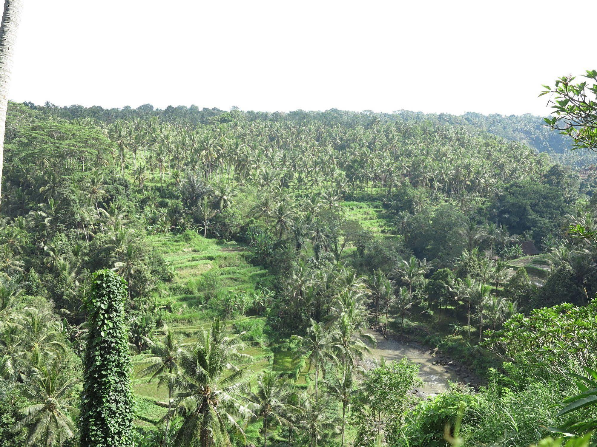 Hotel Taman Bebek Bali à Ubud Extérieur photo